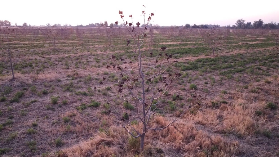  Bedroom Property for Sale in Jan Kempdorp Rural Northern Cape
